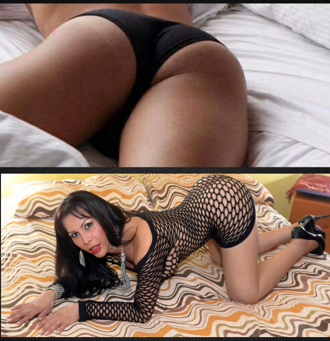 Annuncio Escort Ads - SUPER TRANS 'MARA ' BELLISSIMA PORCA FOTO VERE Ambiente Acogliente / A/P TUTTO SENZA FRETTA,COMPLETISSIMA