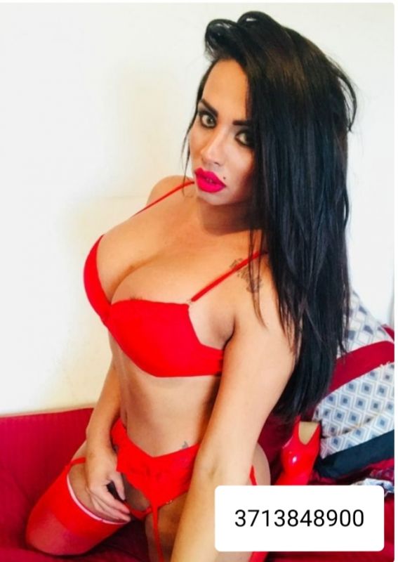 Annuncio Escort Ads -     PRIMA VOLTA IN CITTA          CAROLINA BELLISSIMA TRANS 24 / 24 ATTIVIT
