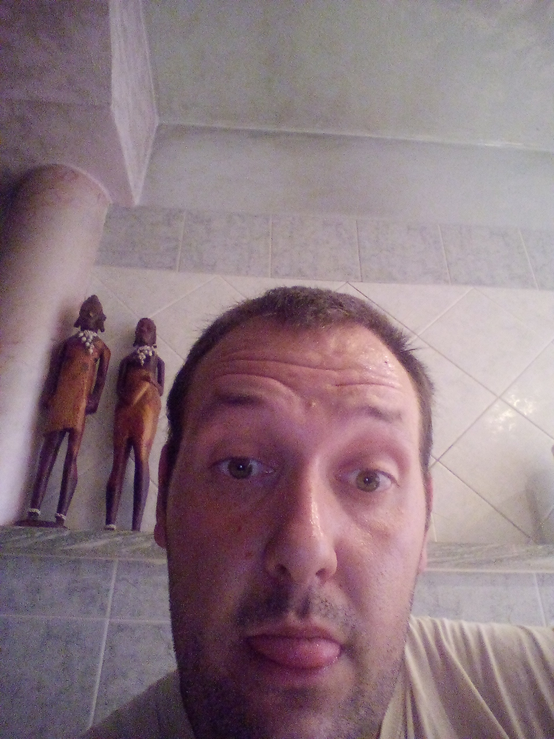 Annuncio Escort Ads - Cerco donna da scopare gratis non voglio soldi 