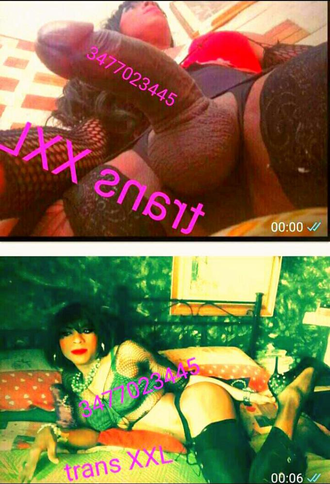 Annuncio Escort Ads - TOP TRANS XXL PORCA E BELLISSIMA MI TROVI COME MI VEDI SENZA FREGATURE E CON MOLTA VOGLIA... SENZA TABU,      MOLTO TRASGRESSIVA