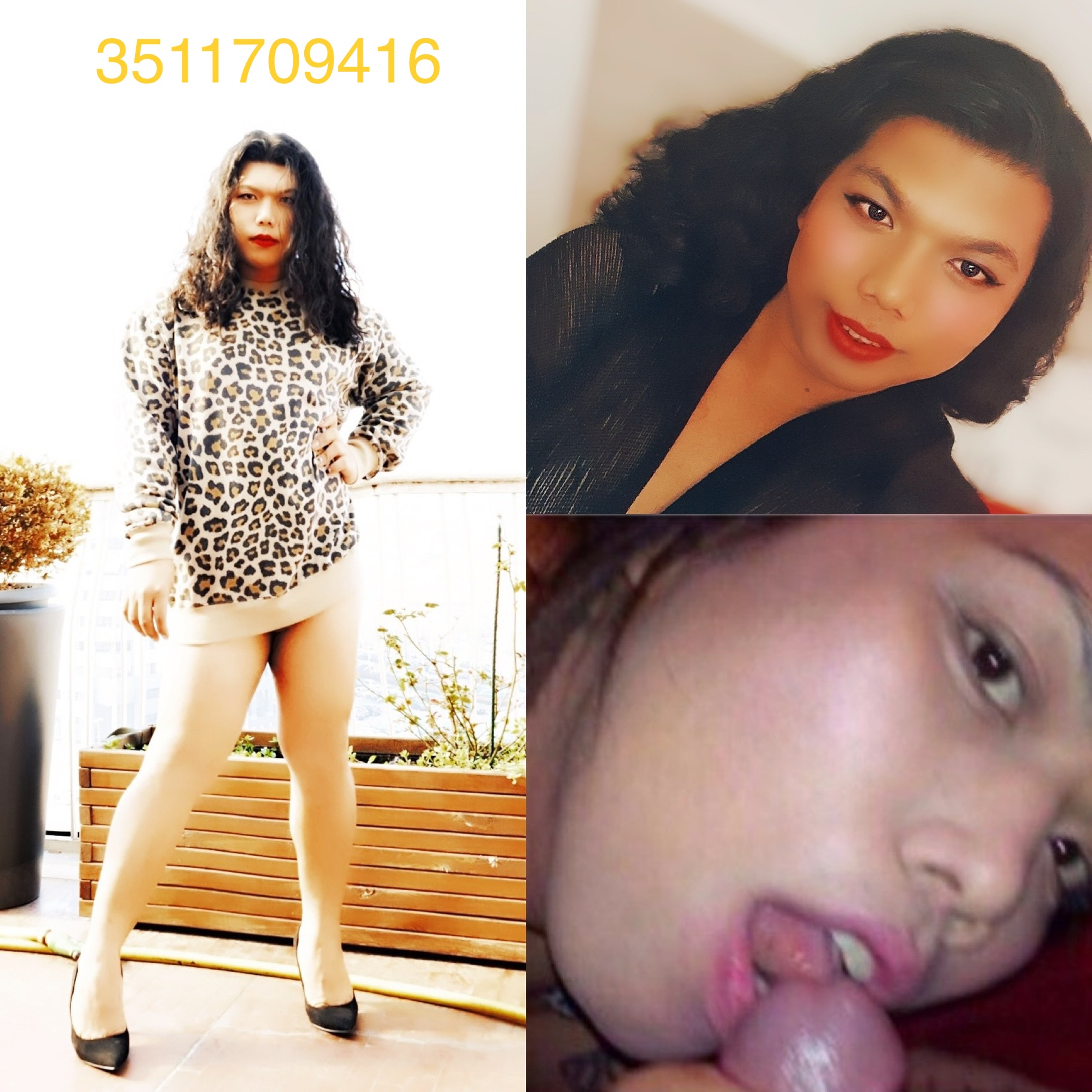 Annuncio Escort Ads - Ladyboy asiatica trans orientale 