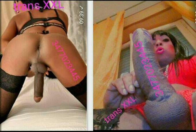 Annuncio Escort Ads - TOP TRANS XXL PORCA E BELLISSIMA MI TROVI COME MI VEDI SENZA FREGATURE E CON MOLTA VOGLIA... SENZA TABU,      MOLTO TRASGRESSIVA