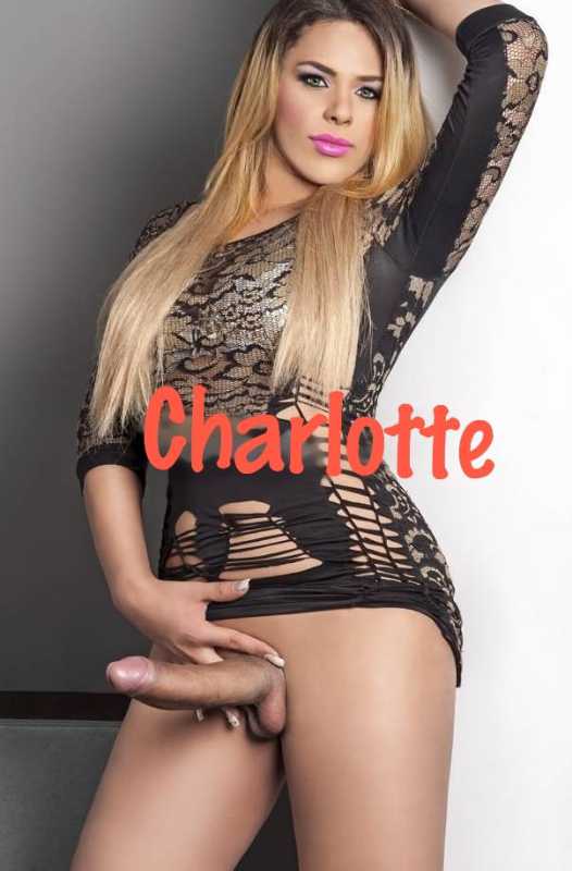 Annuncio Escort Ads -             CHARLOTTE TRANS          PICCANTE TENTAZIONI  . ATTIVA E PASSIVA , SEMPRE COMPLETA