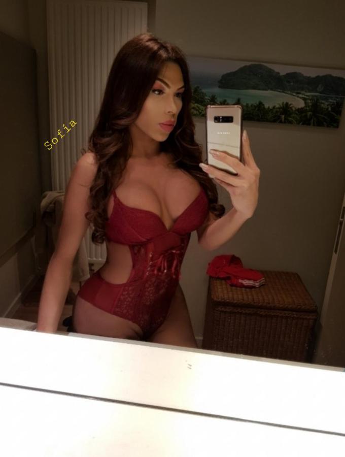 Annuncio Escort Ads -         SOFIA BRASILIANA LA PROFESORESSA DAL POMPINI CON RISUCCHIO GOLA PROFONDA SUCCHIARE TUTTO CON UN CAZZO DURO PIENO DI LATTE