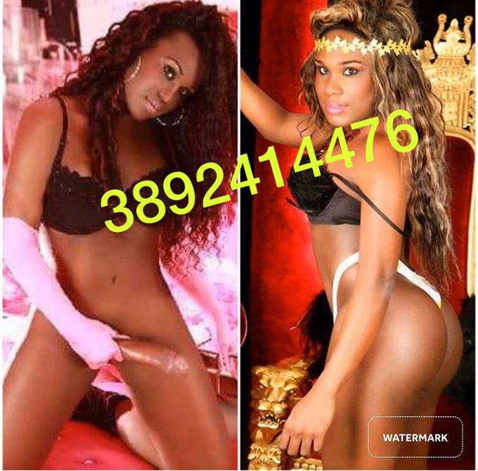 Annuncio Escort Ads - NEW NEW LA BELLA PANTERA NERA 23 CM TRANS MOLTO SEXY E      DI CLASSE E MOLTO ECCITANTE, ATTIVISSIMA ANCHE PASSIVA VOLENDO         FEST