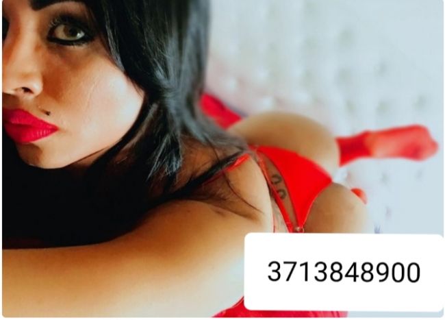Annuncio Escort Ads -     PRIMA VOLTA IN CITTA          CAROLINA BELLISSIMA TRANS 24 / 24 ATTIVIT
