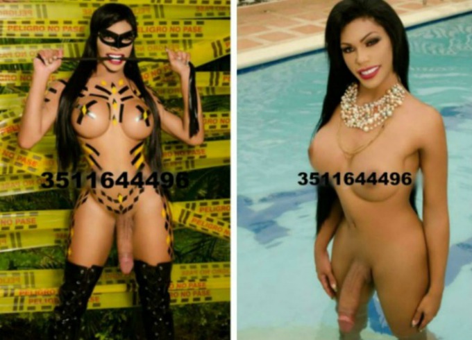 Annuncio Escort Ads - NEW A MATERA    SILVANA TRANS    ATTIVA, PASSIVA, SENSUALE, FEMMINILE CON UN GROSSO ARNESE POTENTE, CARICO E PIENO