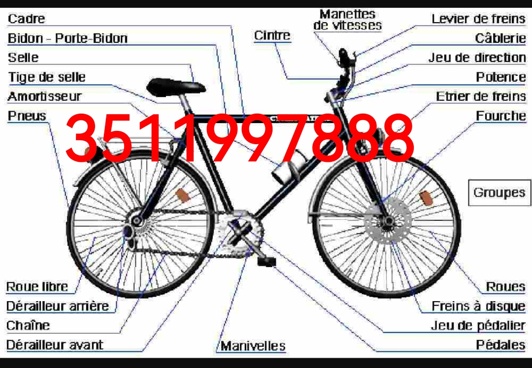 Annuncio Escort Ads - Seyflo 