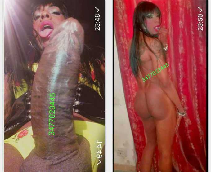 Annuncio Escort Ads - TOP TRANS XXL PORCA E BELLISSIMA MI TROVI COME MI VEDI SENZA FREGATURE E CON MOLTA VOGLIA... SENZA TABU,      MOLTO TRASGRESSIVA