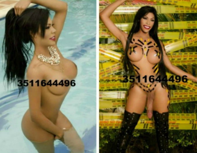 Annuncio Escort Ads - NEW A VASTO SILVANA TRANS ATTIVA, PASSIVA, SENSUALE, FEMMINILE CON UN GROSSO ARNESE POTENTE, CARICO E PIENO